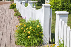 white picket fence white picket fence